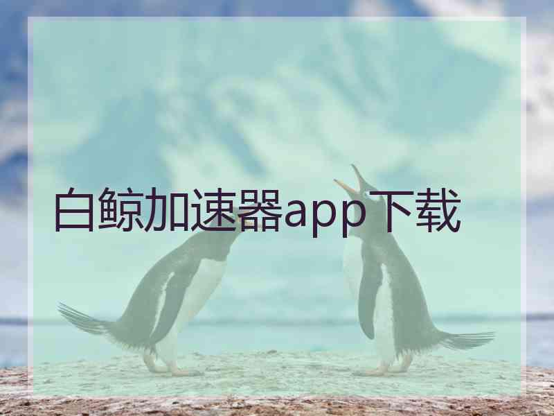 白鲸加速器app下载