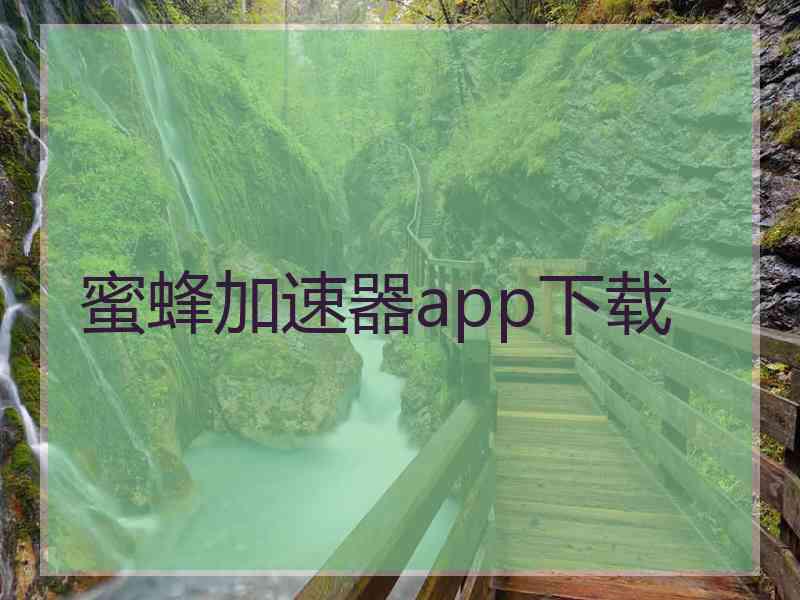 蜜蜂加速器app下载