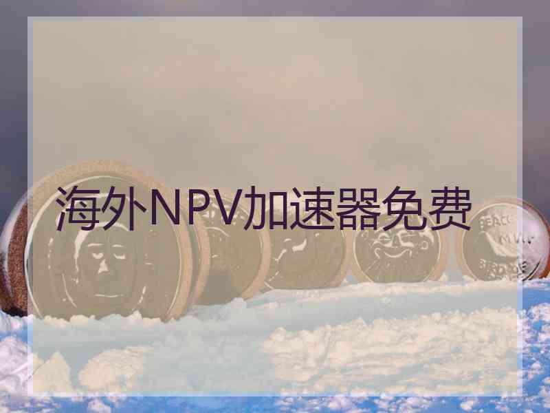 海外NPV加速器免费