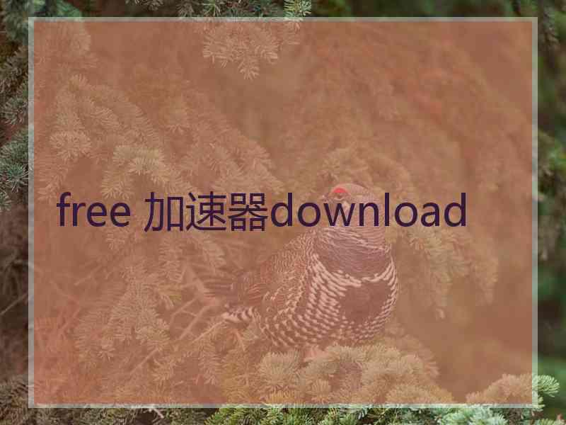 free 加速器download