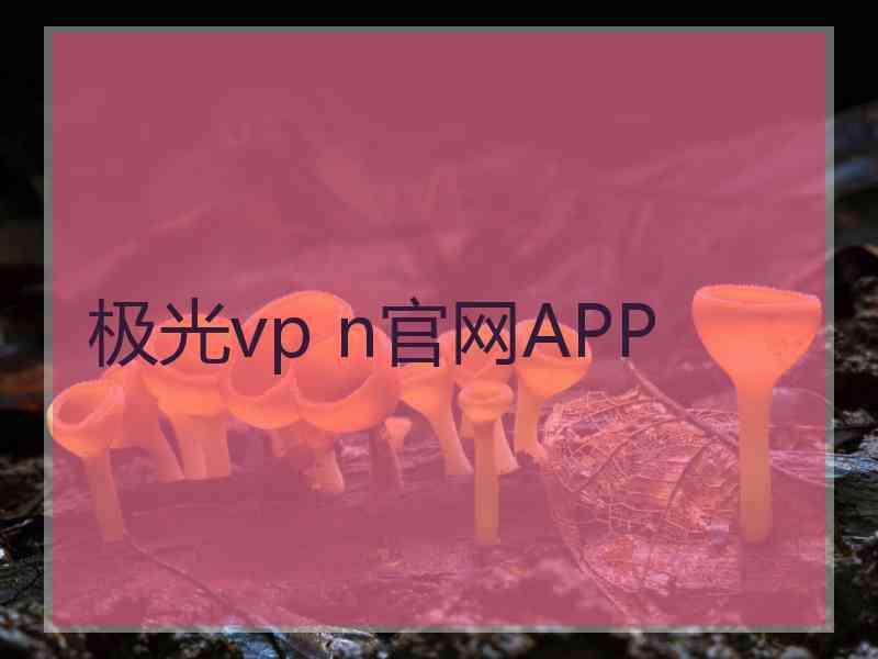 极光vp n官网APP