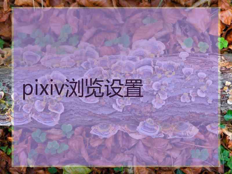 pixiv浏览设置