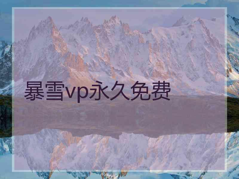 暴雪vp永久免费