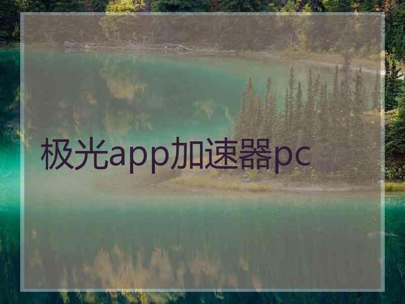 极光app加速器pc