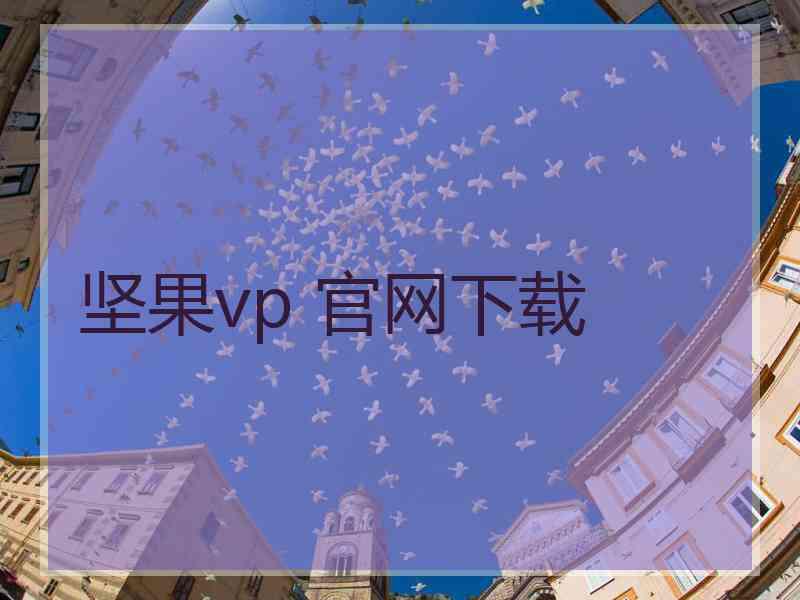 坚果vp 官网下载