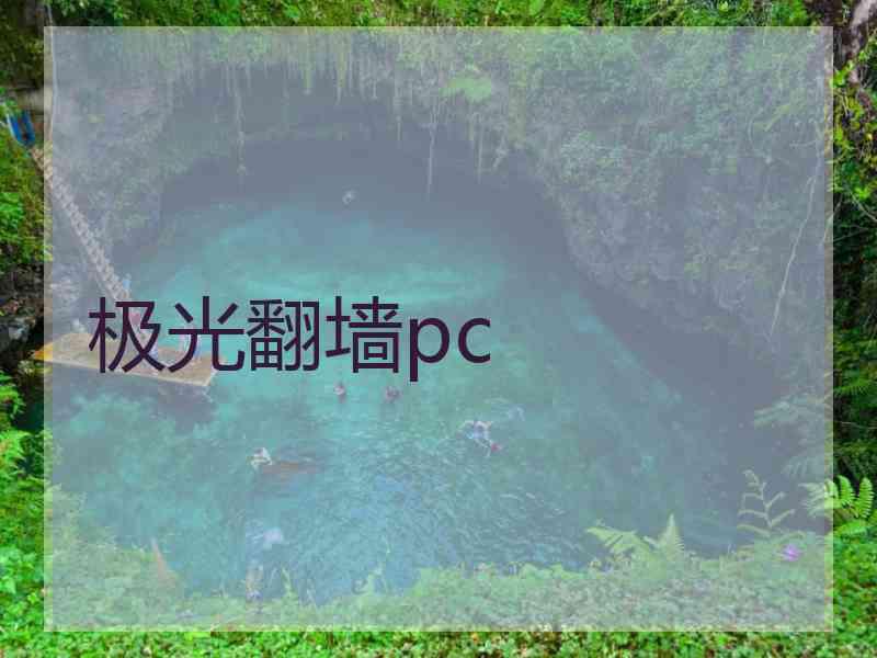 极光翻墙pc