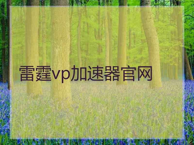 雷霆vp加速器官网