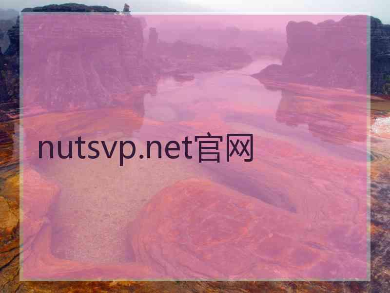 nutsvp.net官网