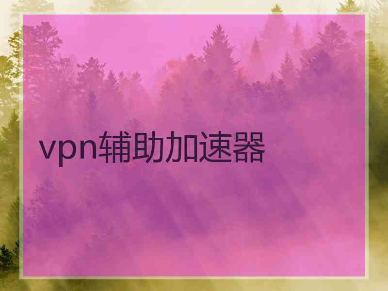 vpn辅助加速器