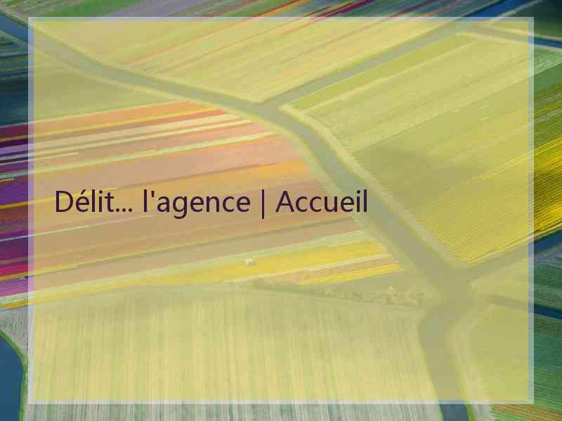 Délit... l'agence | Accueil