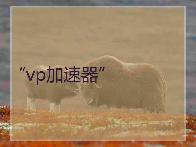 “vp加速器”