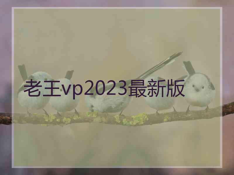 老王vp2023最新版