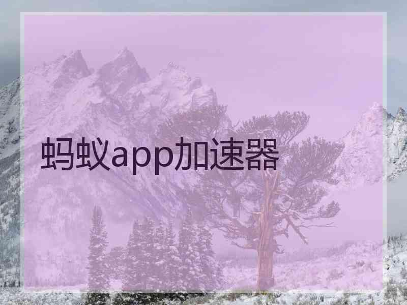 蚂蚁app加速器