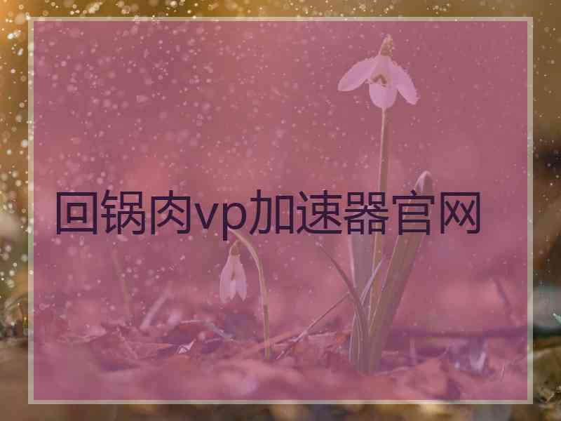 回锅肉vp加速器官网