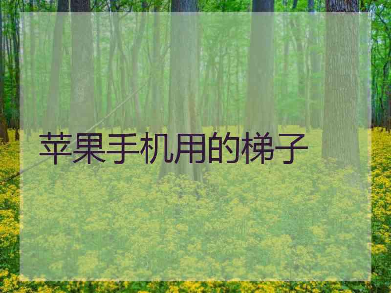 苹果手机用的梯子