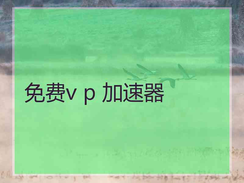 免费v p 加速器