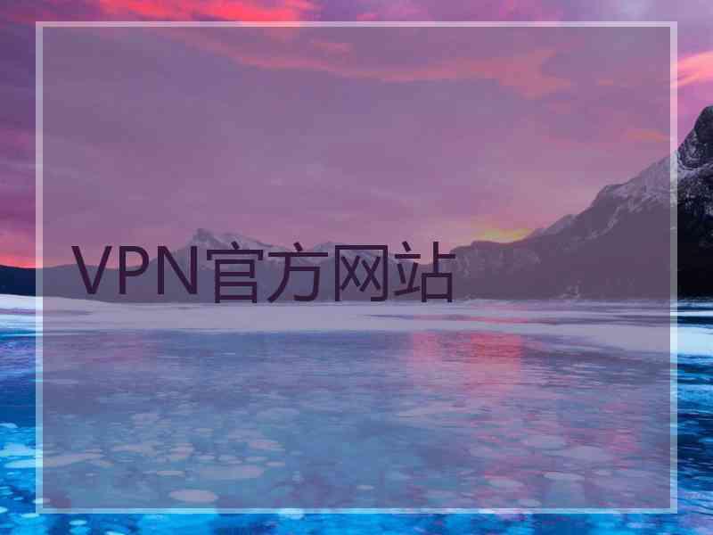 VPN官方网站