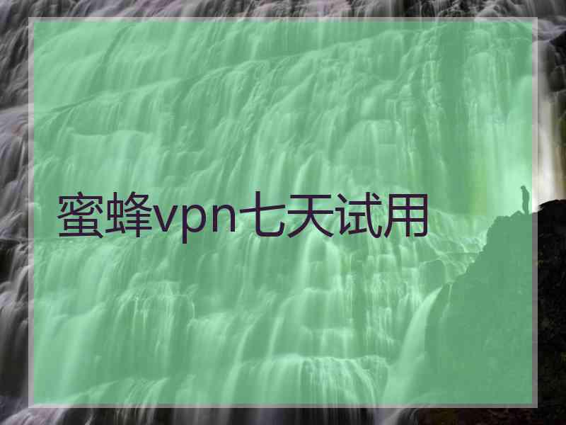 蜜蜂vpn七天试用