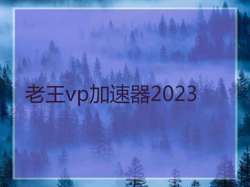 老王vp加速器2023