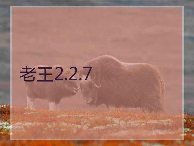 老王2.2.7