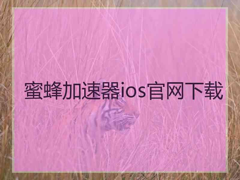 蜜蜂加速器ios官网下载