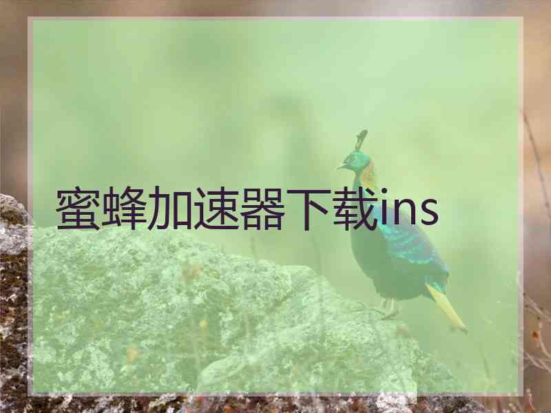 蜜蜂加速器下载ins