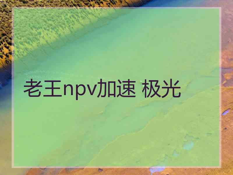 老王npv加速 极光