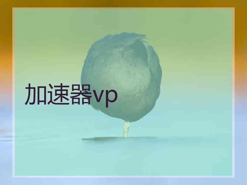 加速器vp