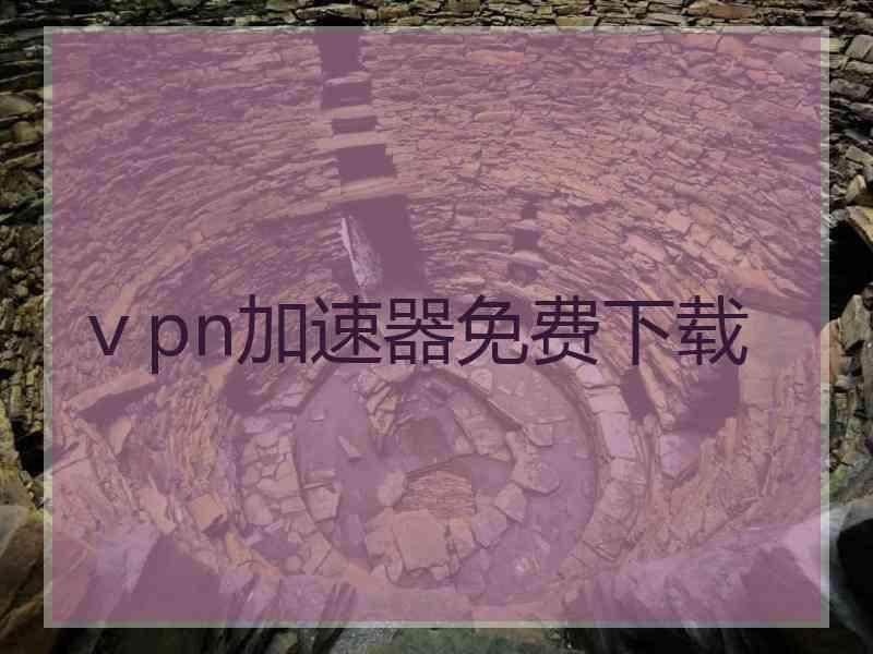 ⅴpn加速器免费下载