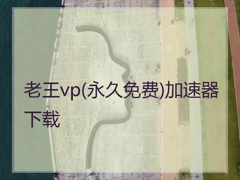 老王vp(永久免费)加速器下载