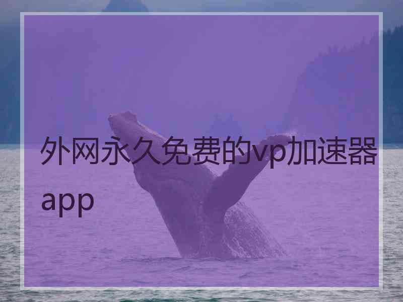 外网永久免费的vp加速器app