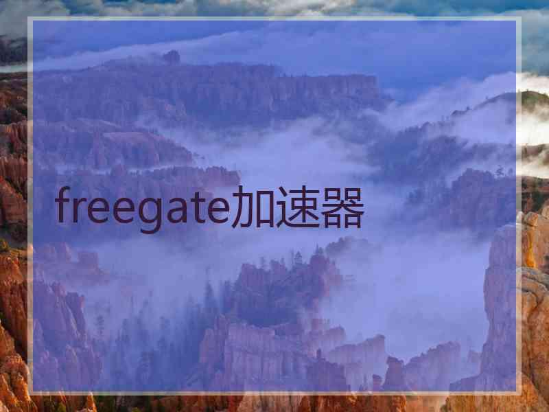 freegate加速器