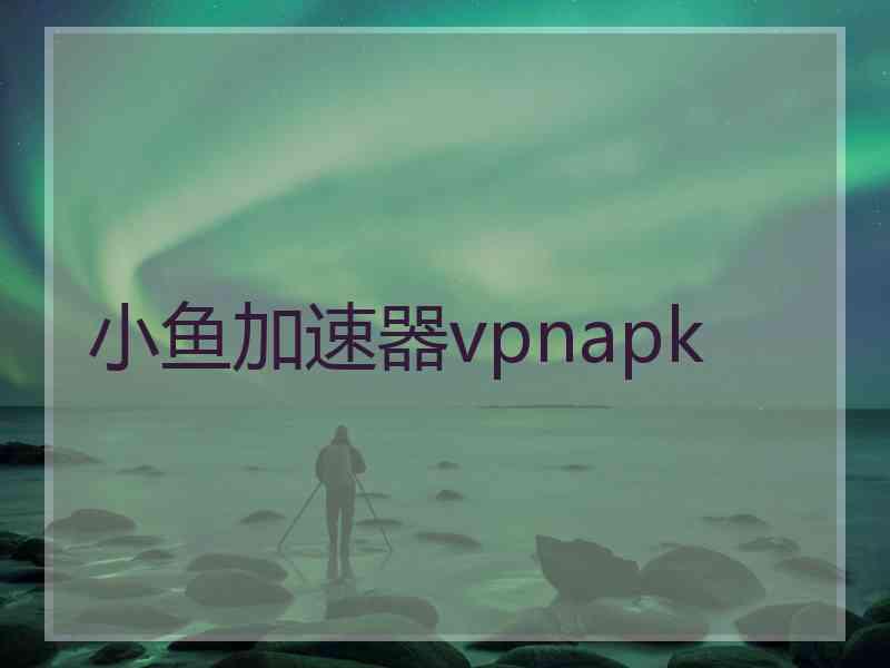 小鱼加速器vpnapk