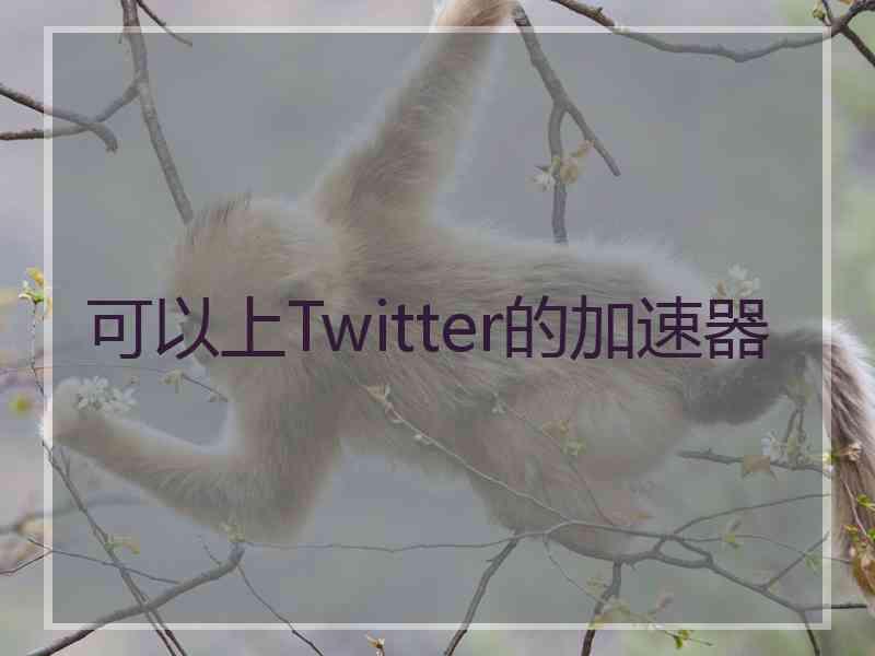 可以上Twitter的加速器