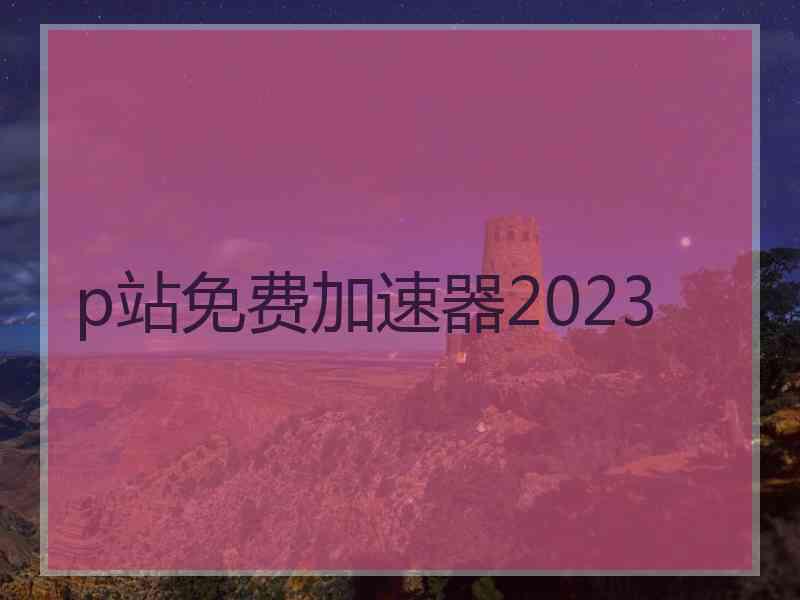 p站免费加速器2023