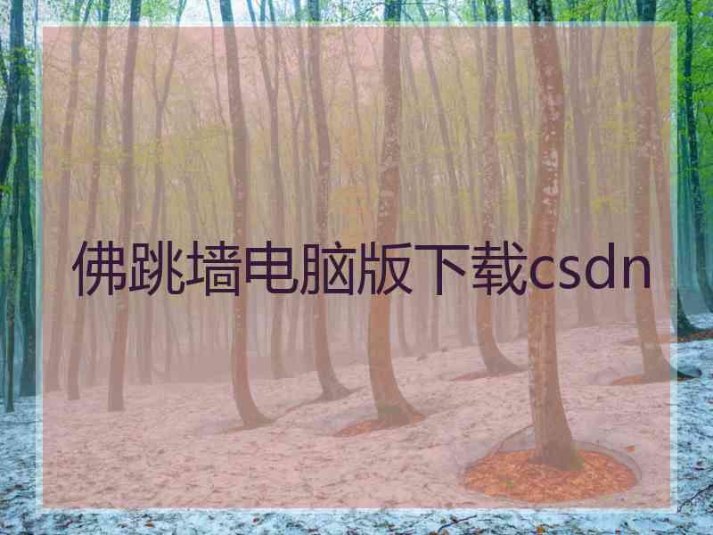 佛跳墙电脑版下载csdn