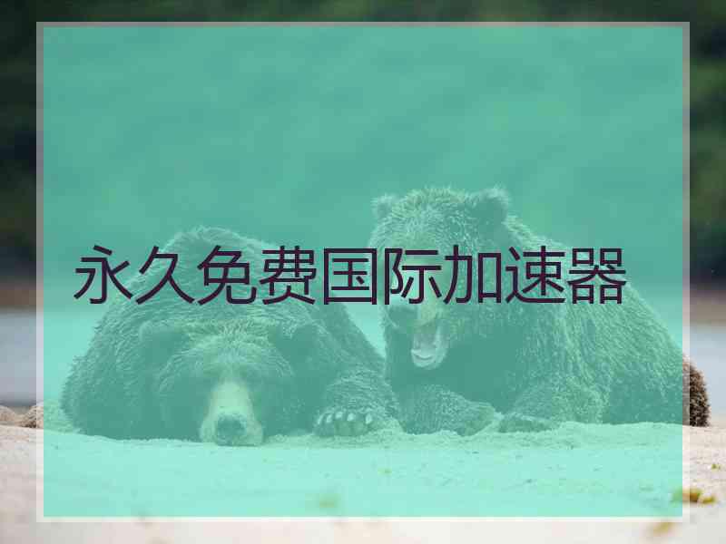 永久免费国际加速器