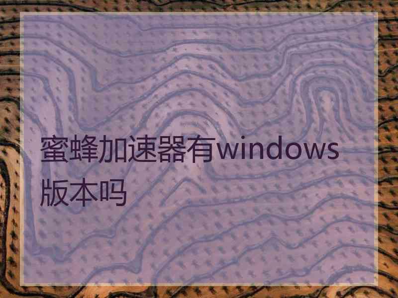 蜜蜂加速器有windows版本吗