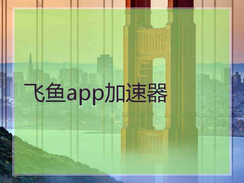 飞鱼app加速器