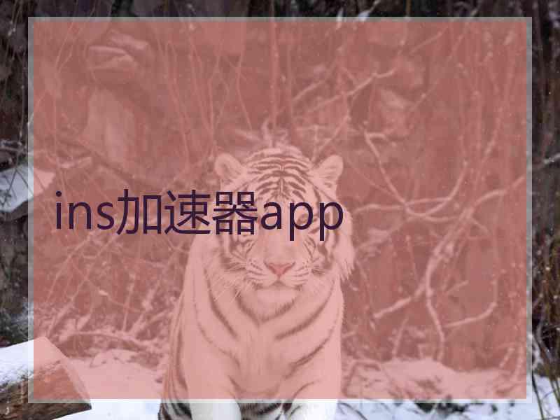 ins加速器app