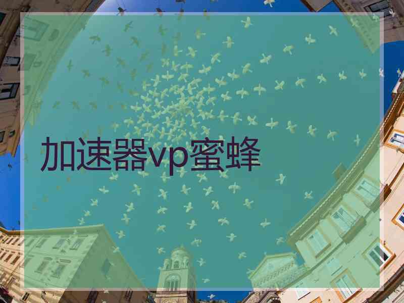 加速器vp蜜蜂