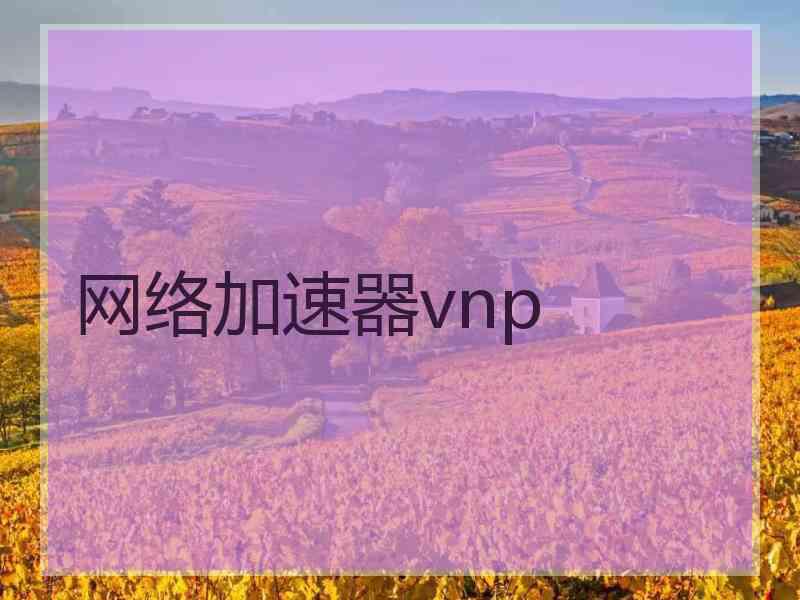 网络加速器vnp