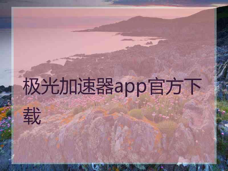 极光加速器app官方下载