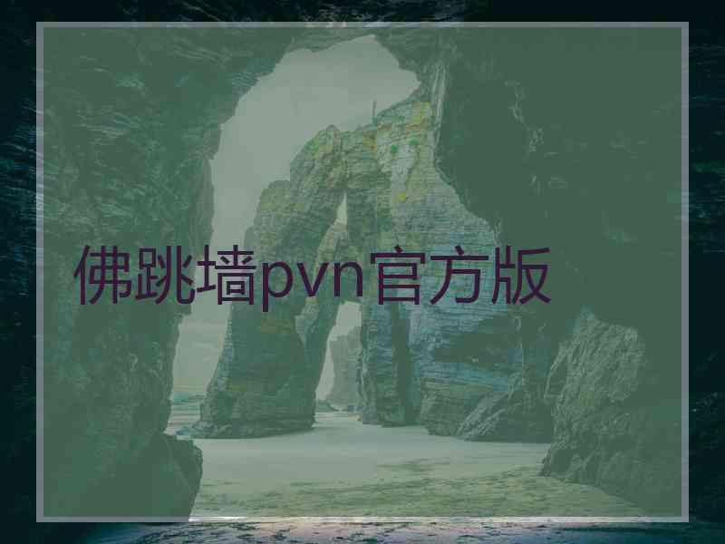 佛跳墙pvn官方版