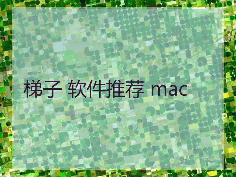 梯子 软件推荐 mac