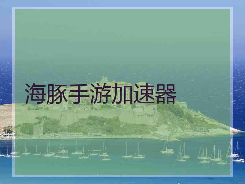 海豚手游加速器