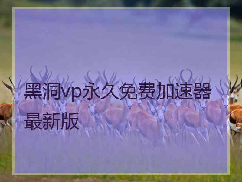 黑洞vp永久免费加速器最新版