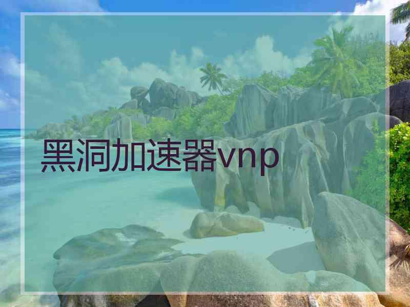 黑洞加速器vnp