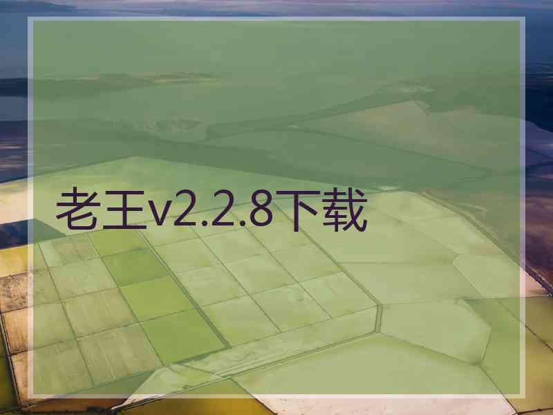 老王v2.2.8下载