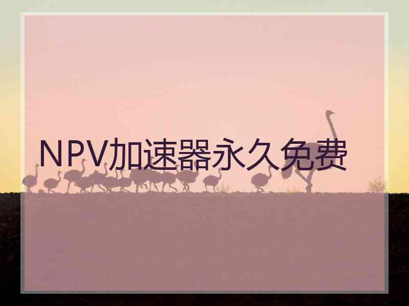 NPV加速器永久免费